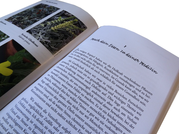 Unser Neuzugang: Das Buch des Kräuterexperten Josep Pàmies